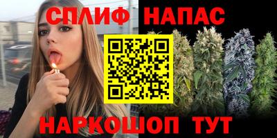 шишки Рязань