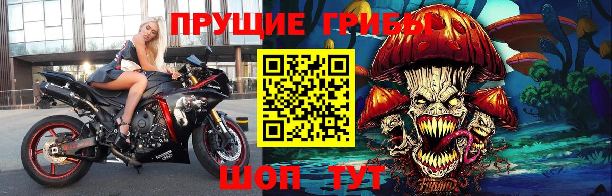 Псилоцибиновые грибы Psilocybine cubensis Семёнов